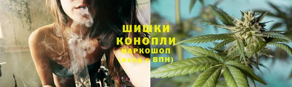 ГАЛЛЮЦИНОГЕННЫЕ ГРИБЫ Ельня