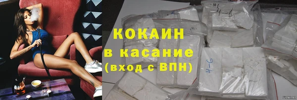 шишки Губаха
