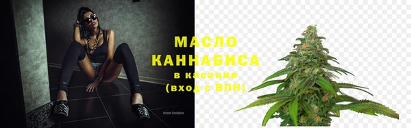 твердый Надым