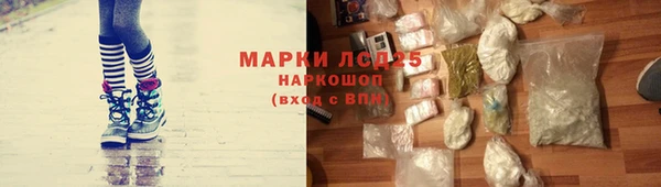 твердый Надым