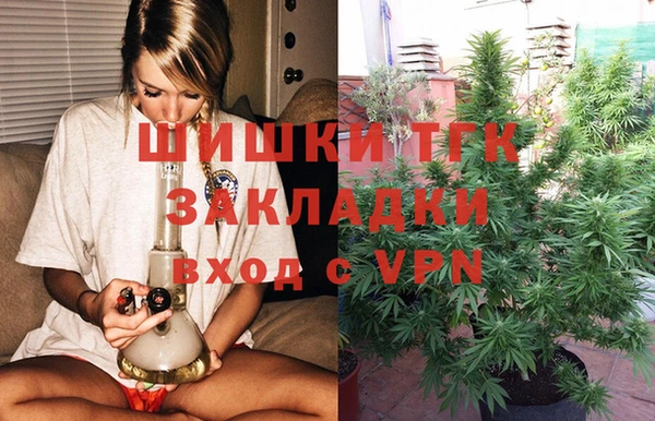 твердый Надым