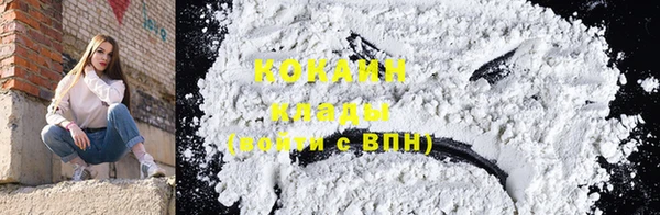 твердый Надым