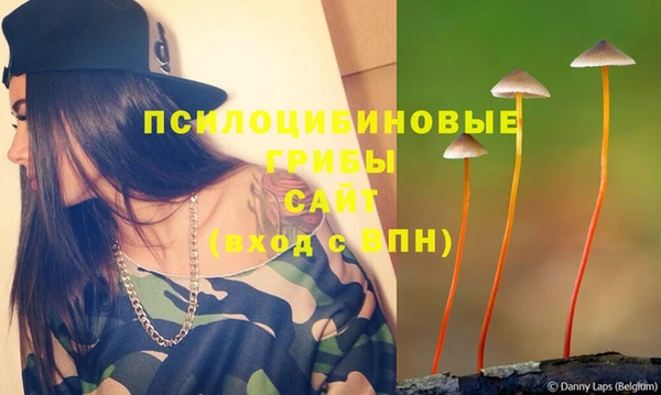 твердый Надым