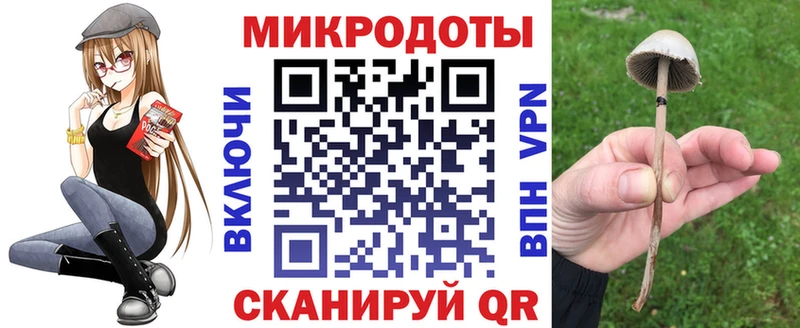 Псилоцибиновые грибы Psilocybe  Кашин 